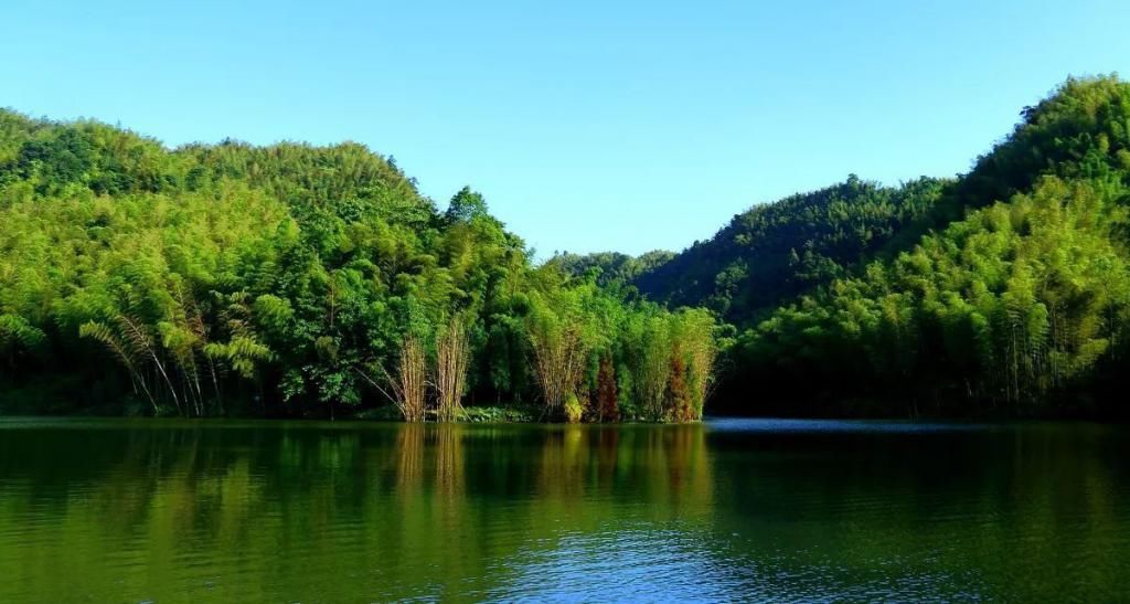 中国最美的十大森林之一，是国家级风景名胜区，却是4A景区