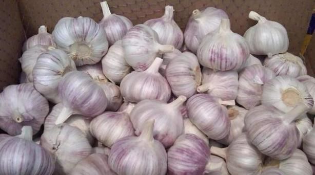 大蒜|以下“2物”加大蒜泡着吃,血管干净通畅,肾也越来越健壮!