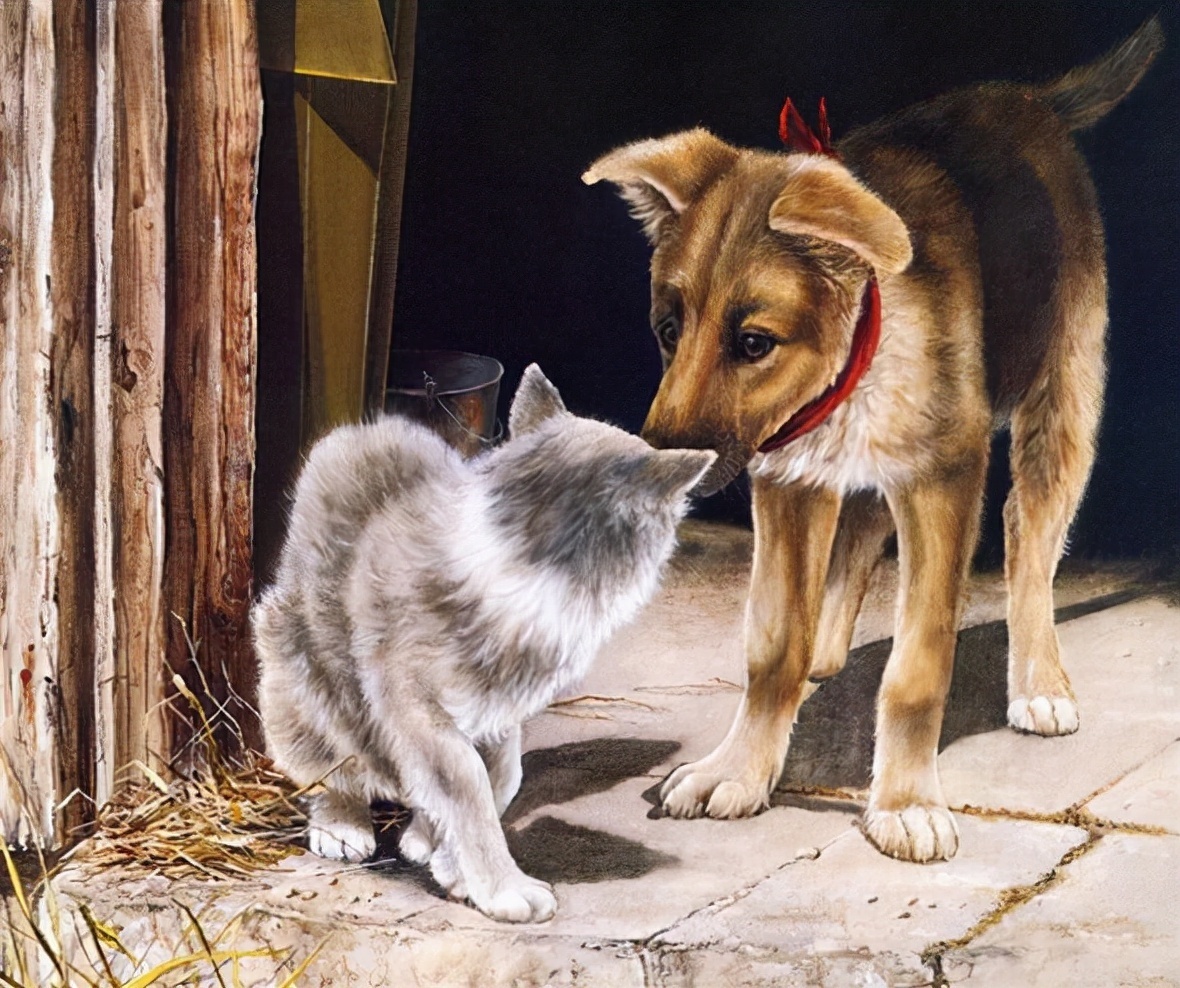 LUCIE@艺术家 LUCIE BILODEAU 画笔下的猫咪系列油画精致的实在太可爱了