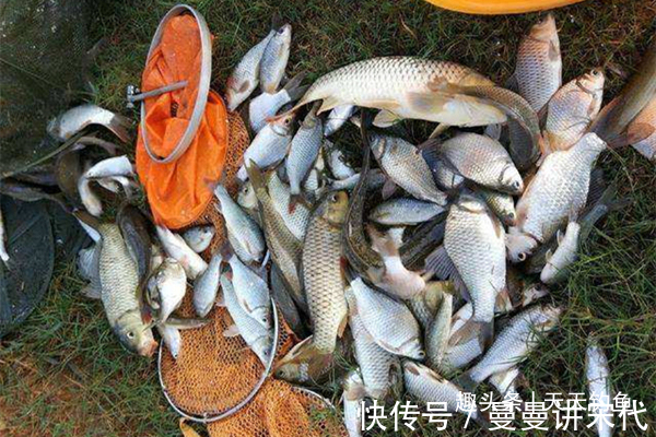 水域|传统钓鱼独门绝技蚯蚓的科学用法，越简单的饵料，用法越不简单