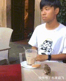 |搞笑GIF：这鸟是饿急了，才冒险来头人类的食物