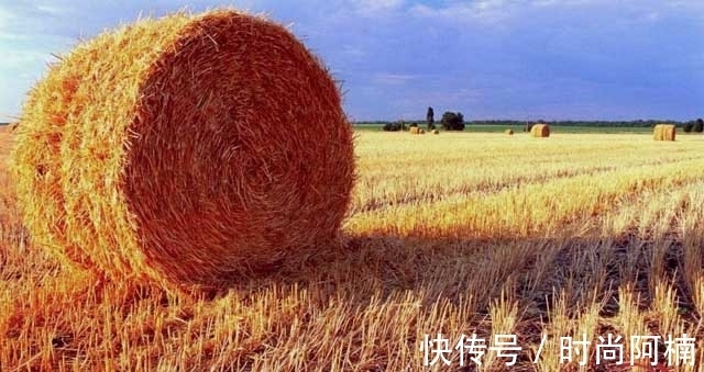 摸秋|立秋了,再忙也别忘了“做3事,吃5样”应对时节,顺利过秋天