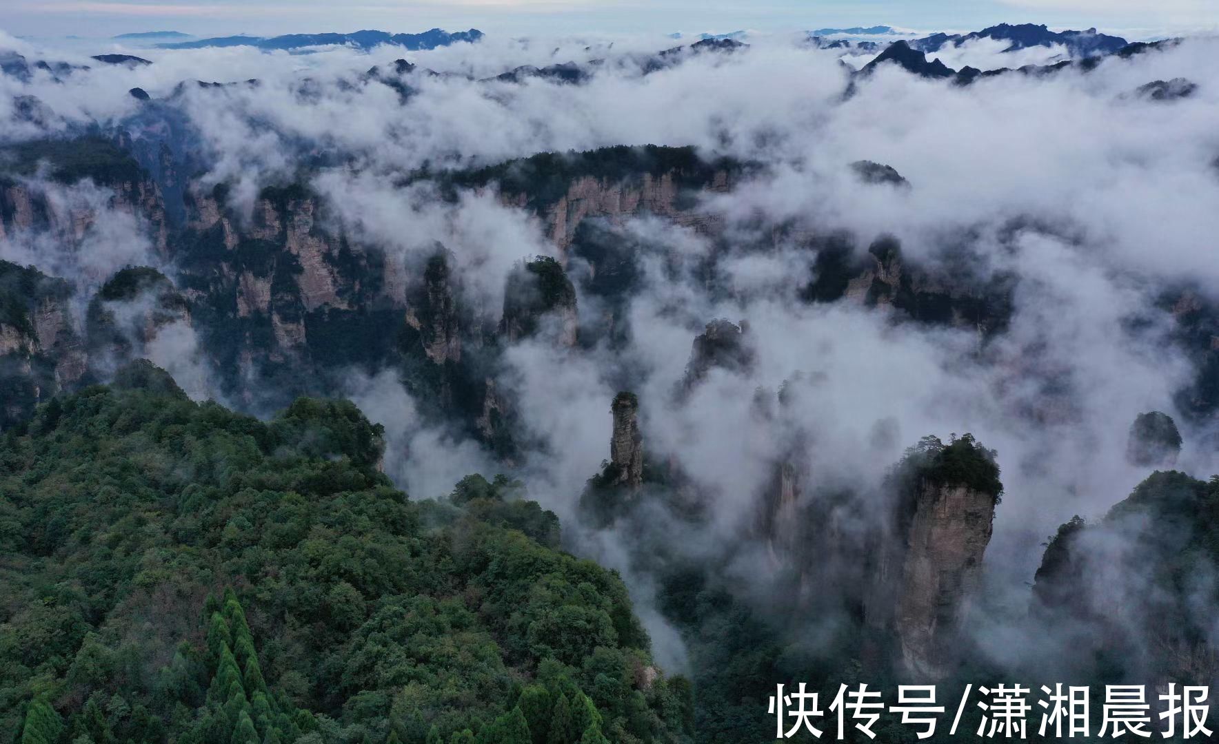 黄石寨|张家界黄石寨连续出现奇美云海景观