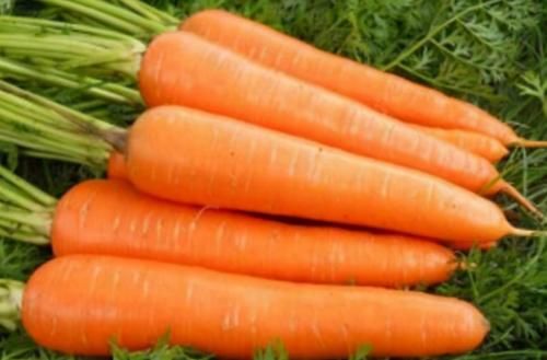 养生|女性想要身体好，可以多吃三种食物，美容养生，有益健康