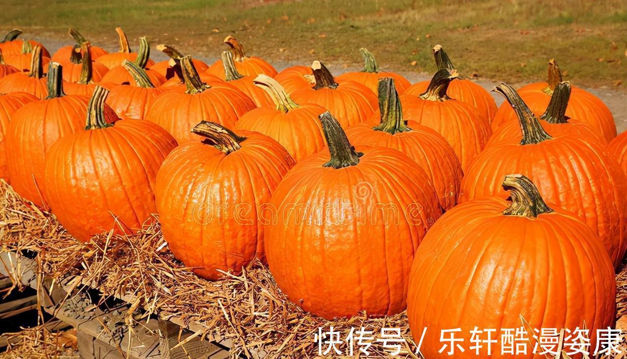 秋天南瓜是个宝，分享5种南瓜饼做法，软糯香甜，男女老少都爱吃