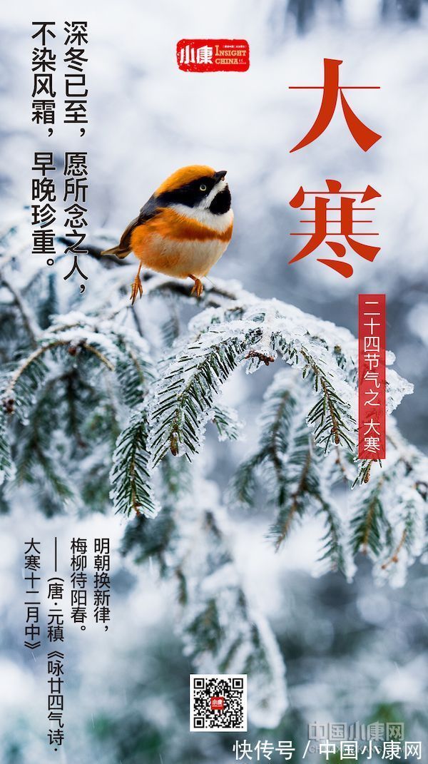 翠竹亭亭！万物有时 岁月成诗：打开二十四节气的另一种方式