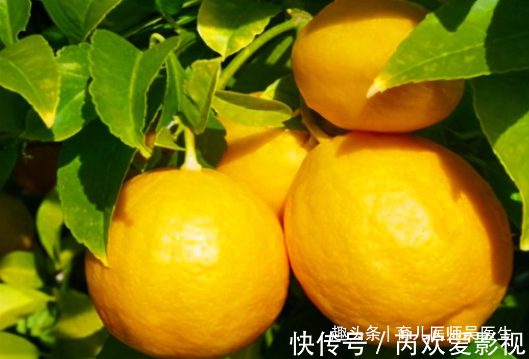 吴医师|想长寿要会吃，坚持吃的食物，美肤抗衰，排毒润肠，更显年轻