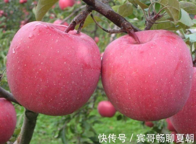 维生素c|吃完苹果后,不要碰它,为了健康,看完后记得告诉你的家人。