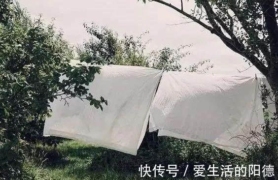 床单|床单用久了很脏?清洗时加个“小东西”,干净又杀菌!