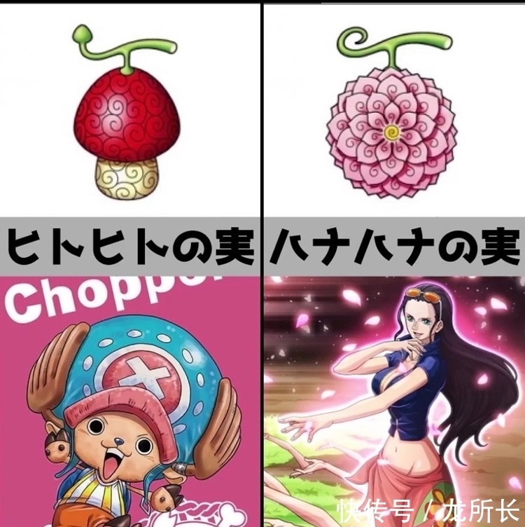 后门|海贼王之少年罗宾:罗宾得到花花果实,但她却失去了妈妈的消息