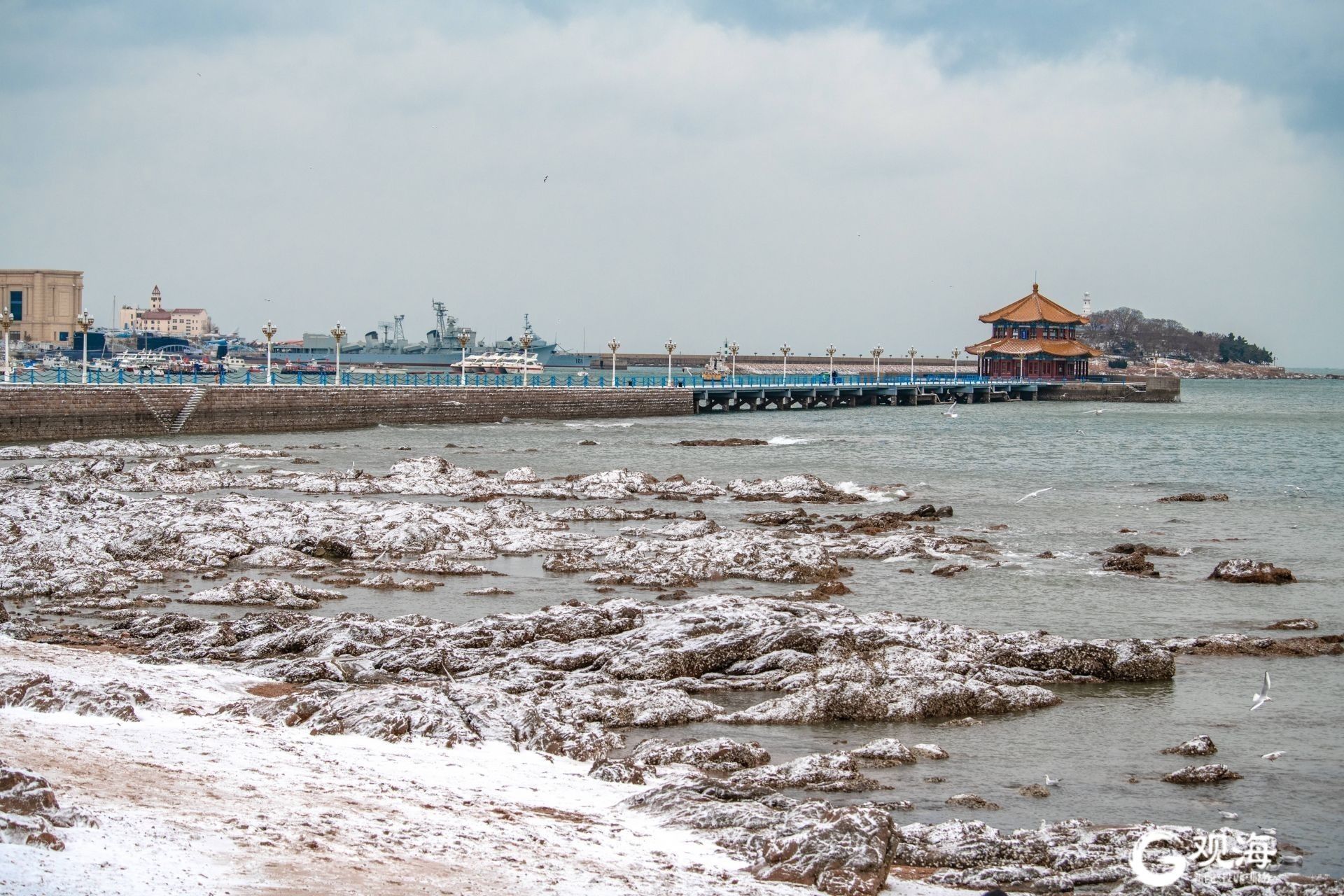 栈桥，海鸥和雪景更配！