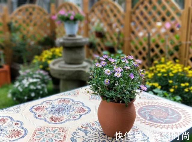 黄先森|3年前,他买了一栋带花园的小洋房,为她打造了一个童话般的花园