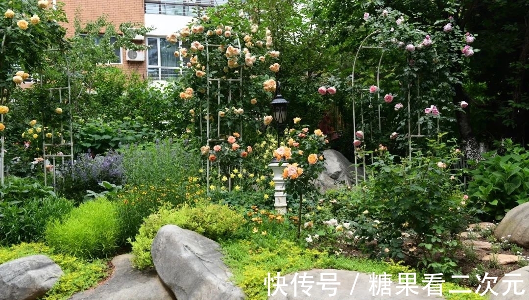 王俐|服装设计师兼花园设计师,裁剪最美的花园时光