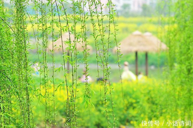 吹面不寒杨柳风|这首只有28字的小诗，意境唯美，读来犹如走进画境，诗作竟出自一位僧人之手
