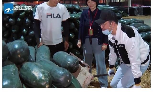 《奔跑吧》一共8位嘉宾,7位收到农民送的蔬菜,只有baby没收到