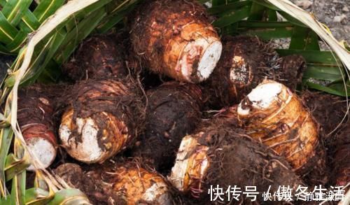 此物|香蕉营养又健康，但吃完香蕉后别碰此物，很多人还傻傻不清楚