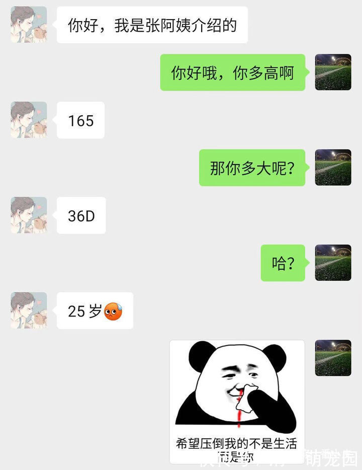 |你有哪些让人笑到肚子疼的搞笑图片