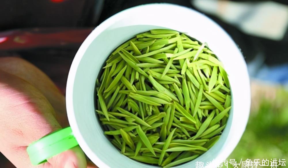 中国四大茶叶有哪些?你喝过几种呢?没想到