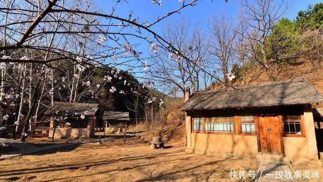 败人|俗话说家里出三瘾,家败人也亡,是哪三瘾,为何很多人把持不住!