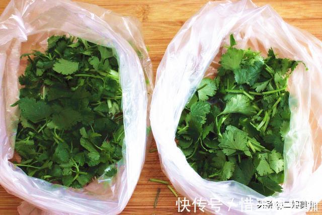 烘干机|原来保存香菜这么简单,老农教您2个土方法,放久不坏,不怕多买