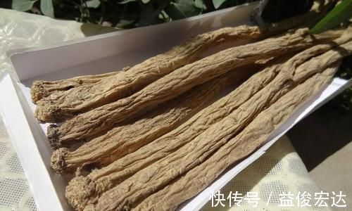 三七粉|养生除了枸杞、黄芪,不要忘了此物,清热解毒,溶血栓,降三高