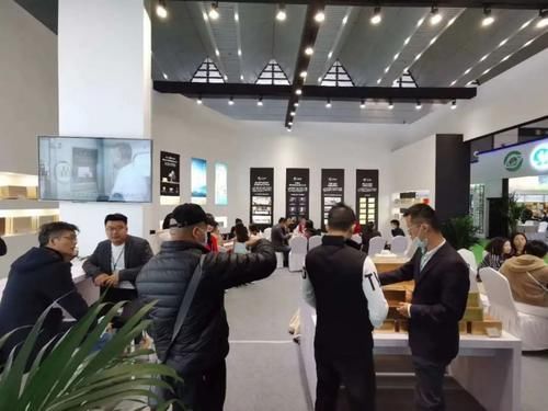 林振传|品品香?敬岁月，一杯40年老白茶的不惑之旅