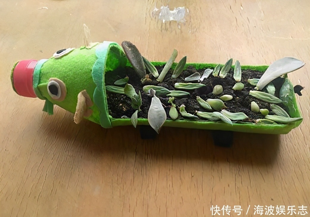 小花|养花不一定要精美的花盆，这几种东西剪一剪，养花创意十足