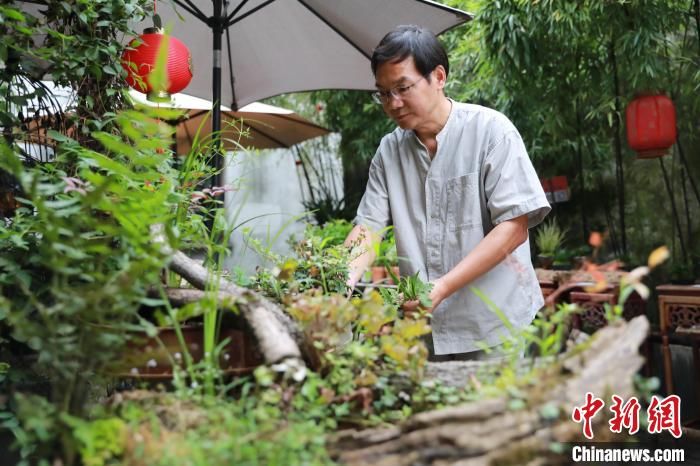 勿忘我@浙江“民间花王”:贩卖浪漫三十载 重现中国文人花道