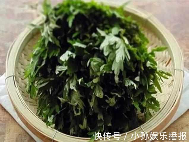 艾叶|湿气的死对头，泡脚撒一把，祛除体内湿毒，驱寒暖胃