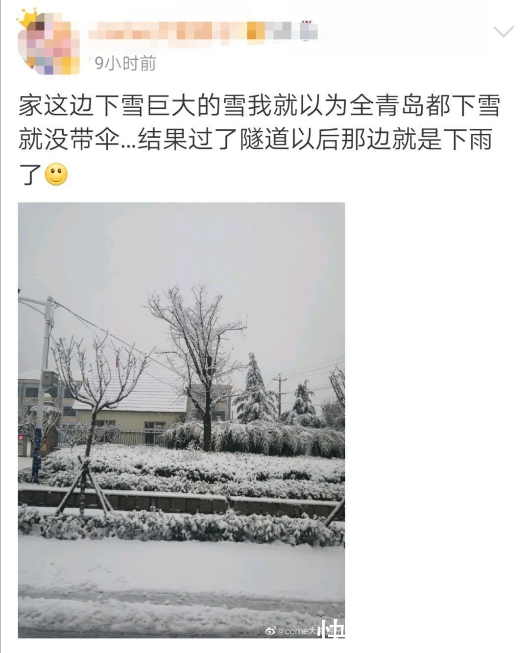 肖枫|你那里是下雨还是下雪？今天，同在青岛，却仿佛不在一个季节...