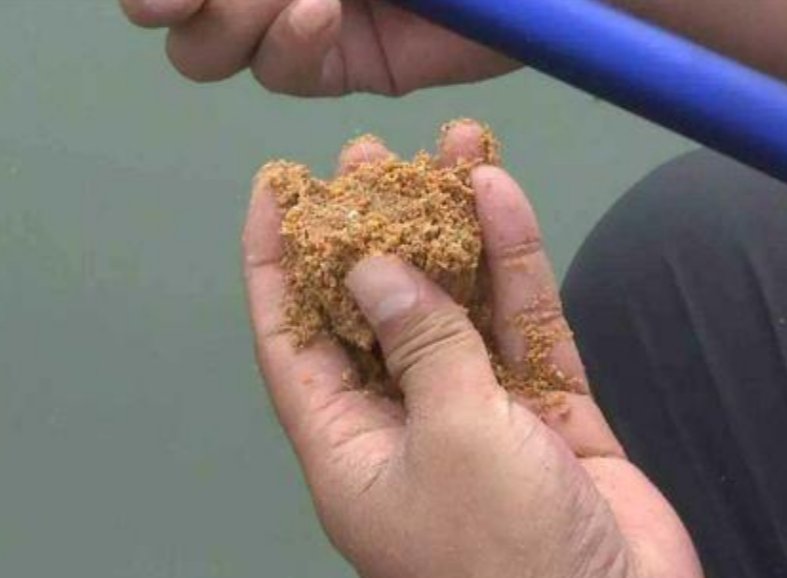 黑坑轻口鱼滑口鱼不知道怎么去钓?老司机教你饵料与调漂技巧包会