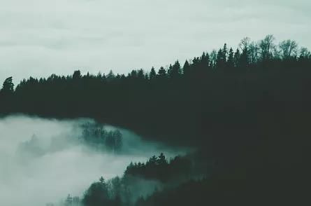 最美|诗词丨史上最美的8首短诗,首首经典,谁读了都会心醉