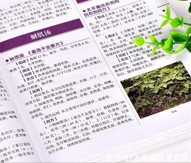 陈老|91岁国医大师传授“护心经”,竟是做3件这么简单的事,值得学习