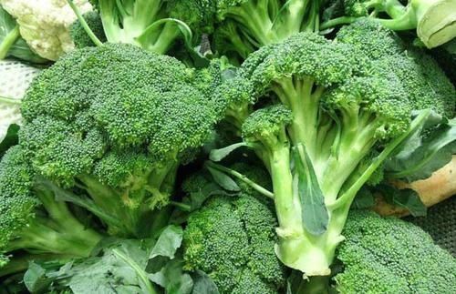 医生|“抗癌明星”西兰花能防8种癌?医生的解读来了