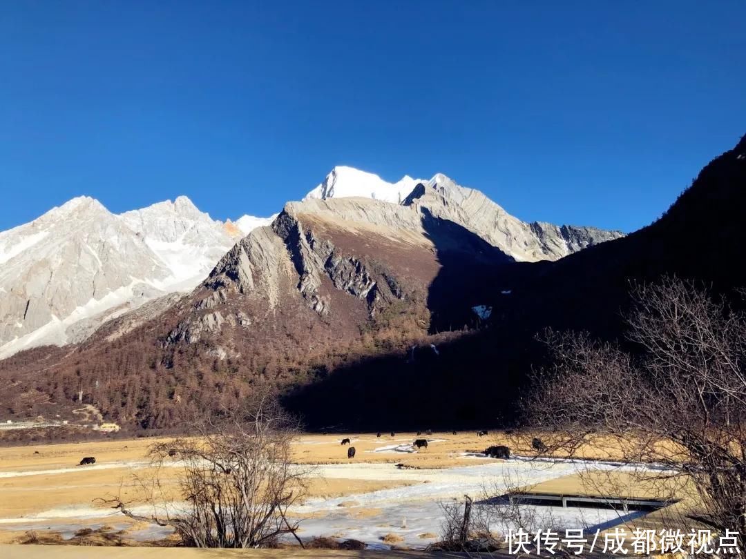 在这片土地上奔跑，和它们一起回到童年时光