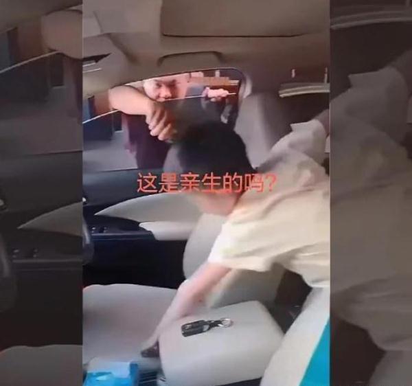 眼神|爸爸钻车窗够钥匙,当“木枝”掉下去的那一刻,爸爸的眼神亮了