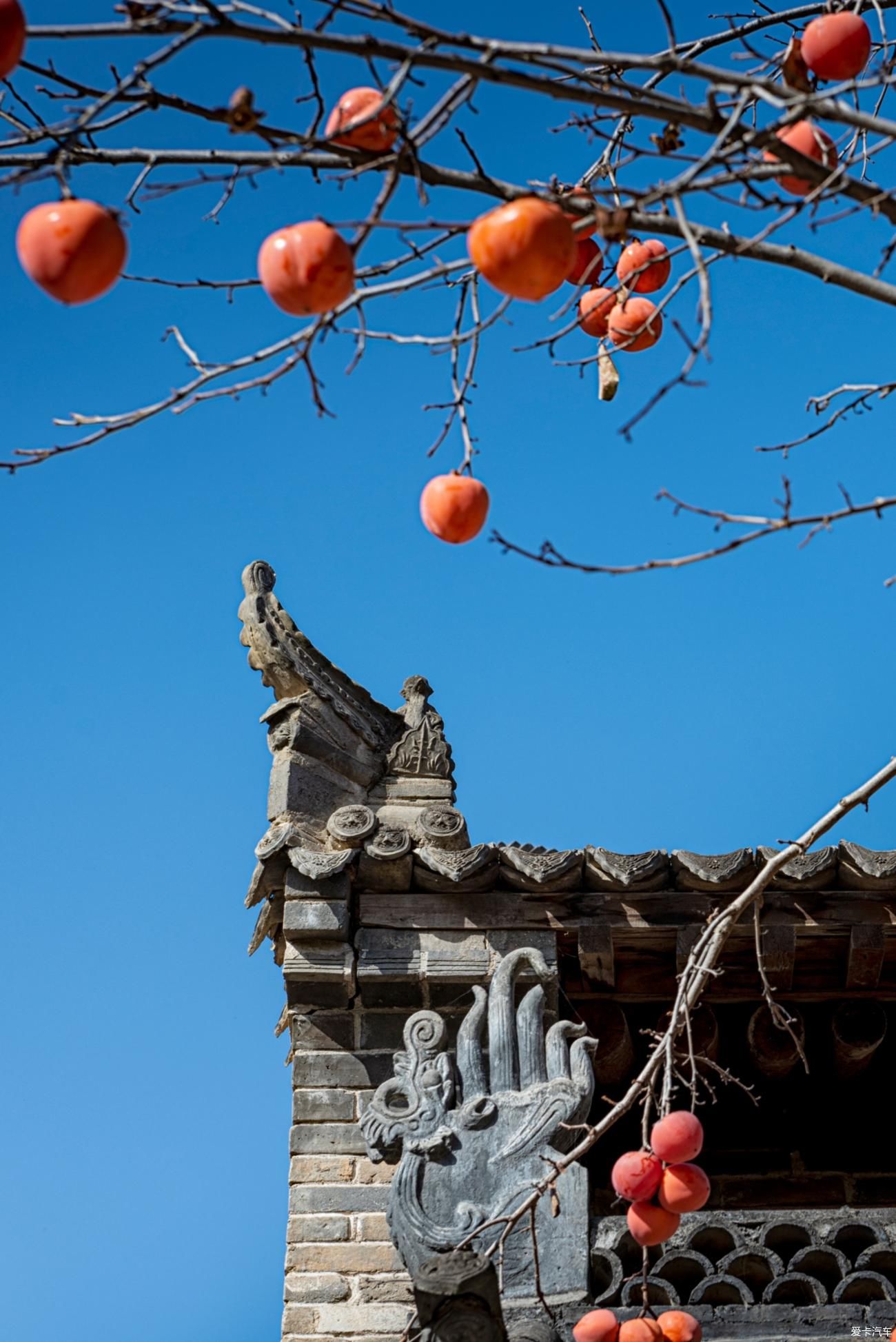  六人行|诗意 · 江湖，六人行