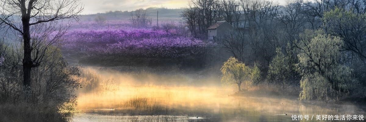 辞官|李白最经典的一首词,短短28字,道尽友情的真谛,传为千古佳话