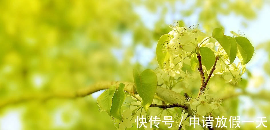 运气@人都是有运气的,一旦做事有这三个“特征”,恭喜你,好运来了