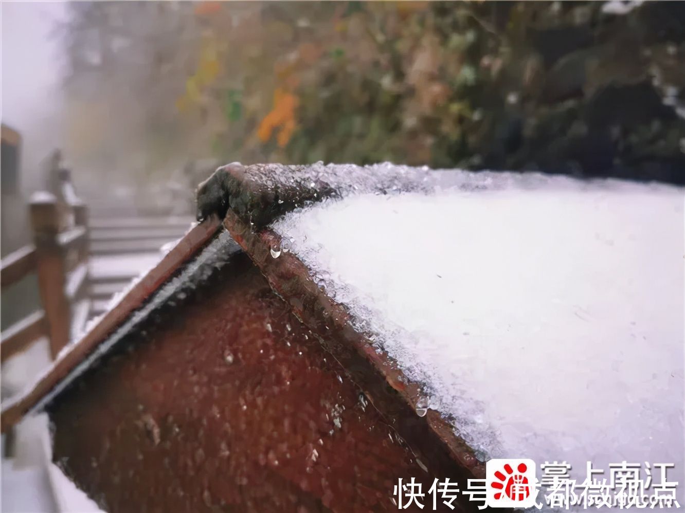 红叶|10月18日，一起去光雾山看红叶遇上白雪