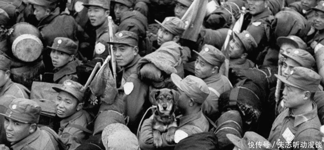 集体|战俘们被集体处决为何没人反抗呢?