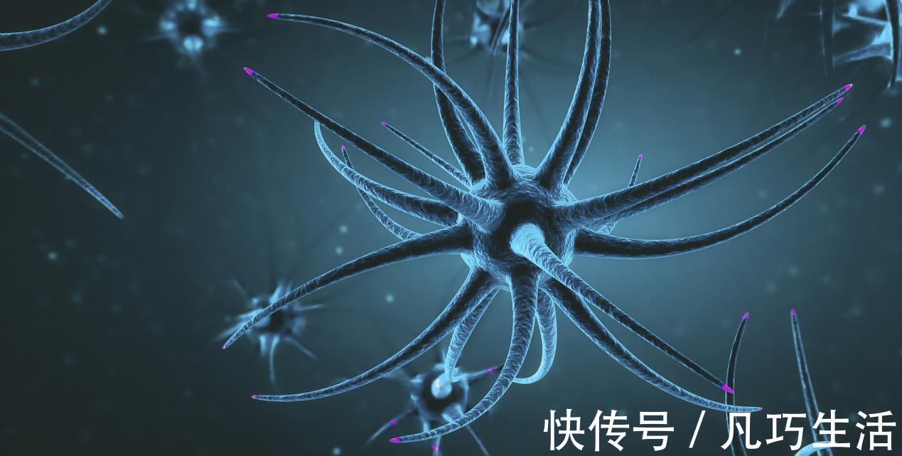 秘诀|活多久，75取决于自己长寿最重要的“秘诀”，竟非饮食和烟酒