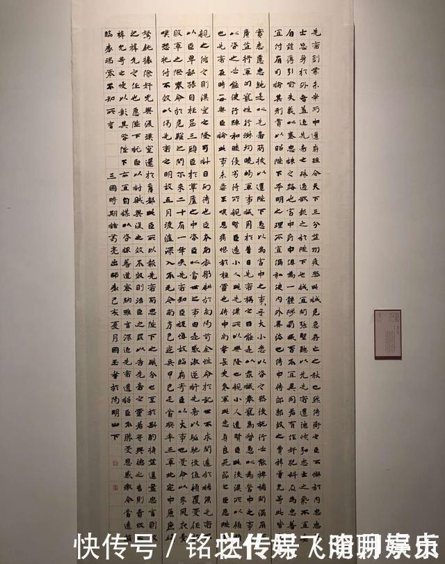 书法家#600多字的楷书在12届国展中很亮眼,用笔上方圆互换,点画精致