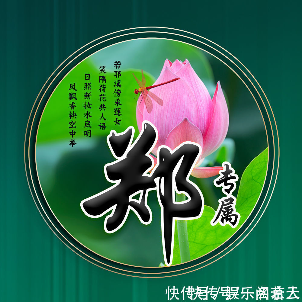 世人大!用你的姓氏当头像,20张唯美荷花大气图片,中国风华丽登场