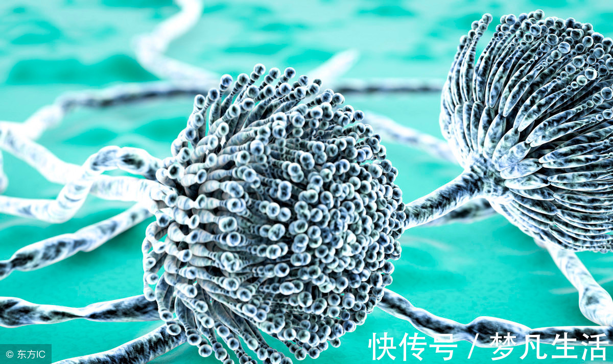 龙葵素|藏在家里的“一级致癌物”,为了家人的健康,及时扔掉为好