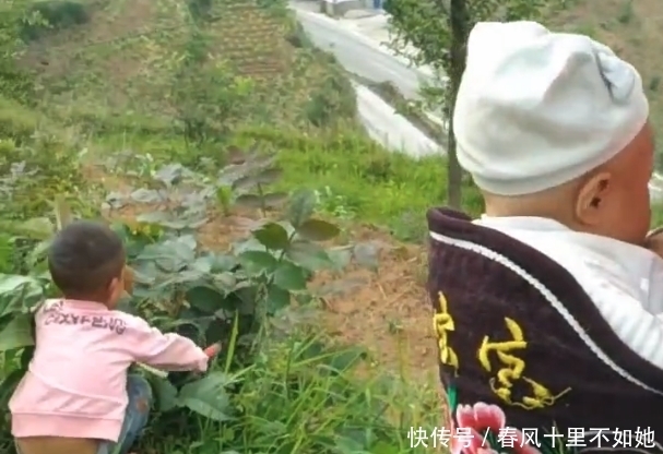 女子|女子下地干活,宝宝就让“大树”帮忙带着,网友们看后:太聪明!