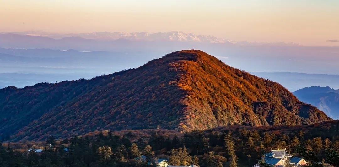 彩林|秋韵乐山，开启一场“红叶”之旅