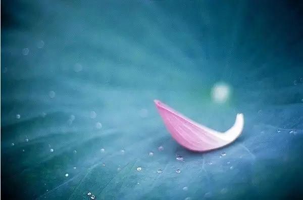 杨慎$千古奇文《韬晦术》,为人、经商、从政必读的枕边书