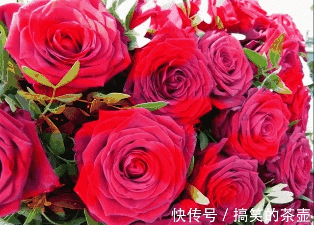 |三个笑话,笑了我七天七夜!