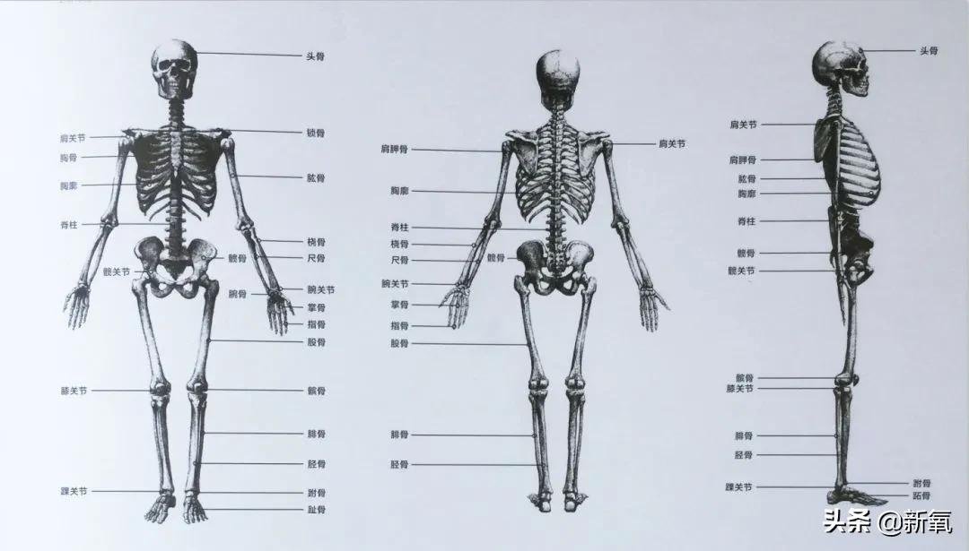 美的 追求过度的审美畸形，把腿p再长也有破绽